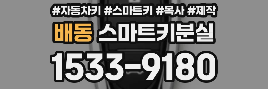 배동 스마트키분실