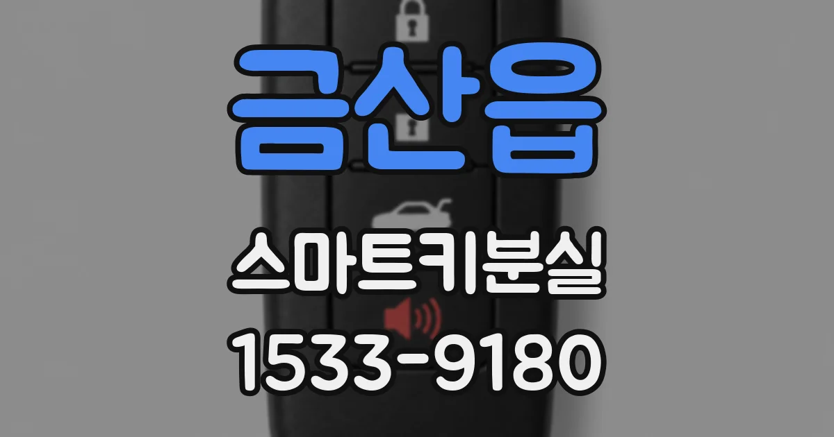 금산읍 스마트키분실