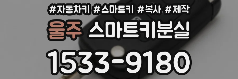 울주 스마트키분실