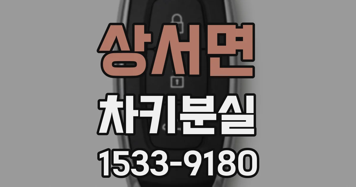 상서면 차키분실