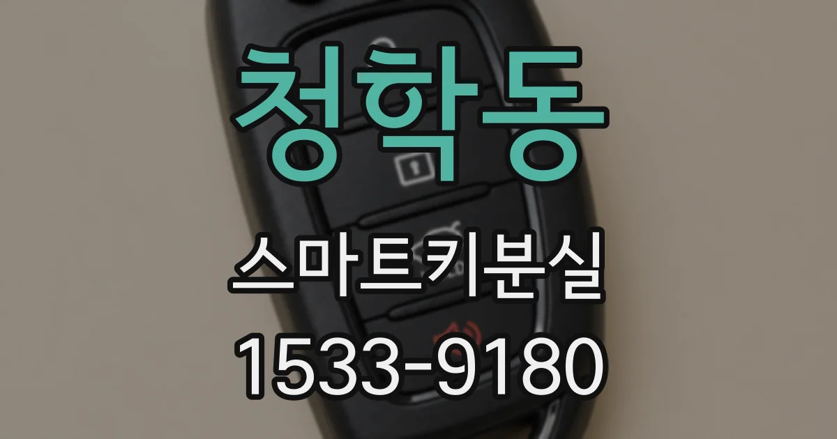 청학동 스마트키분실
