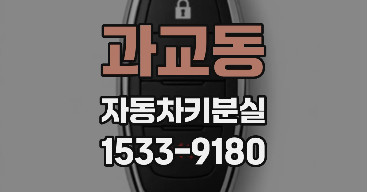 과교동 자동차키분실