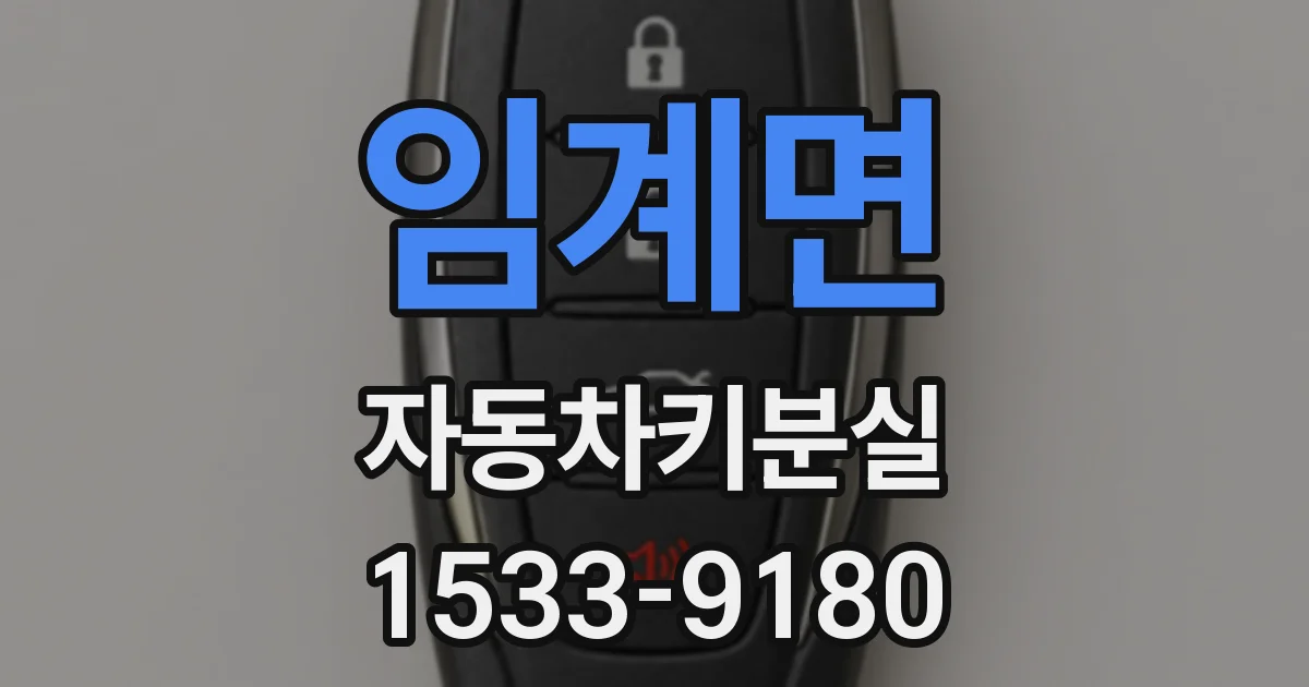 임계면 자동차키분실