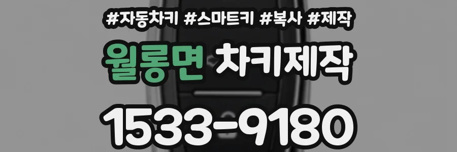 월롱면 차키제작