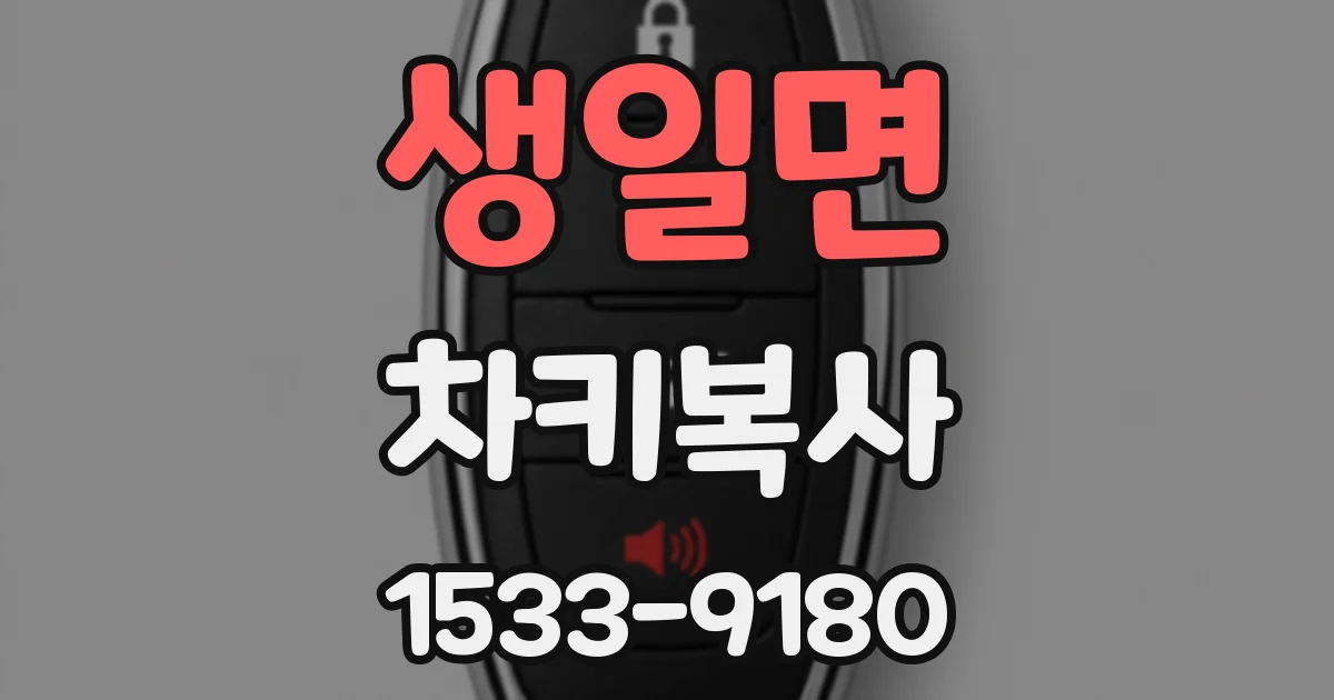 생일면 차키복사