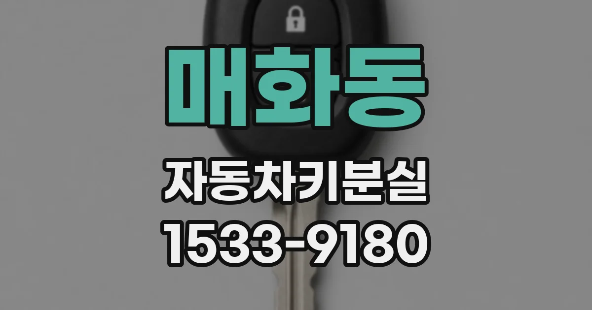 매화동 자동차키분실