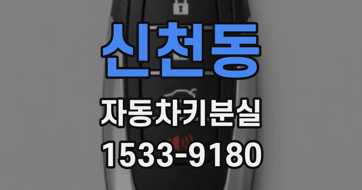 신천동 자동차키분실