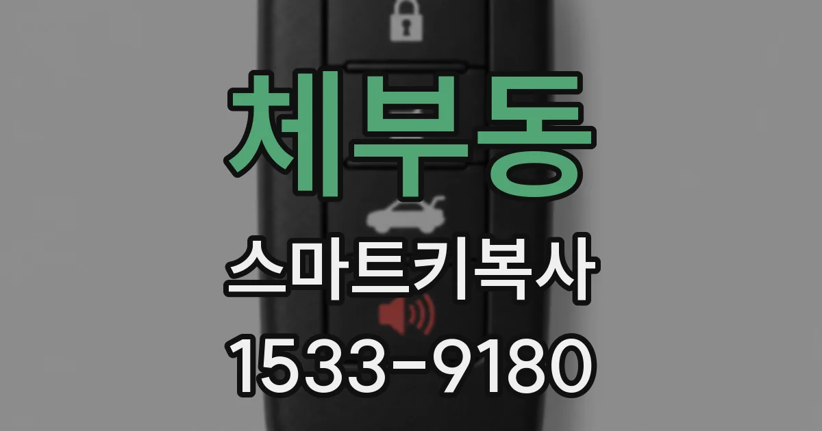 체부동 스마트키복사