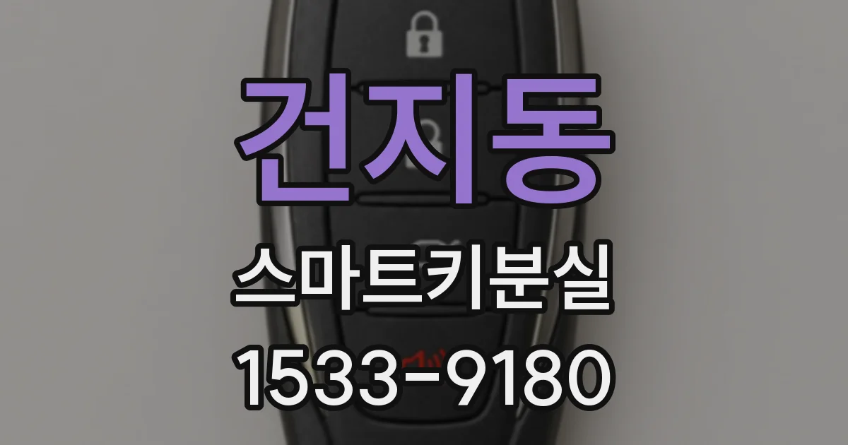 건지동 스마트키분실