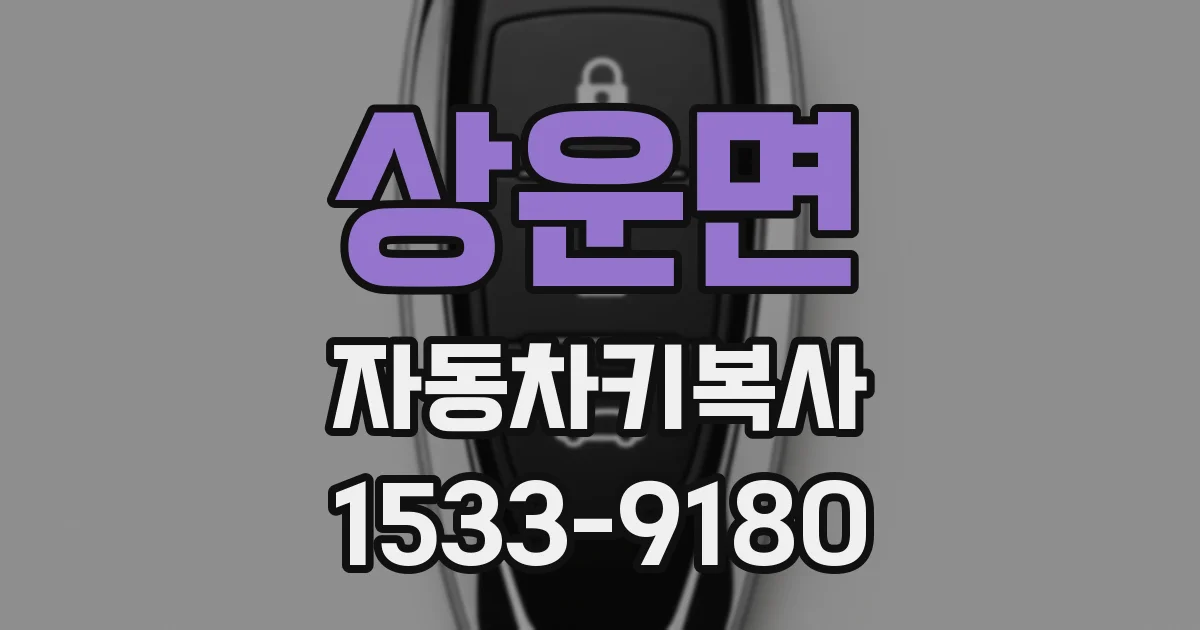 상운면 자동차키복사