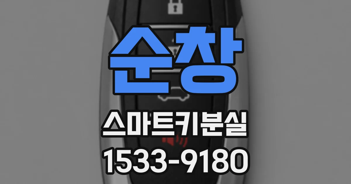 순창 스마트키분실