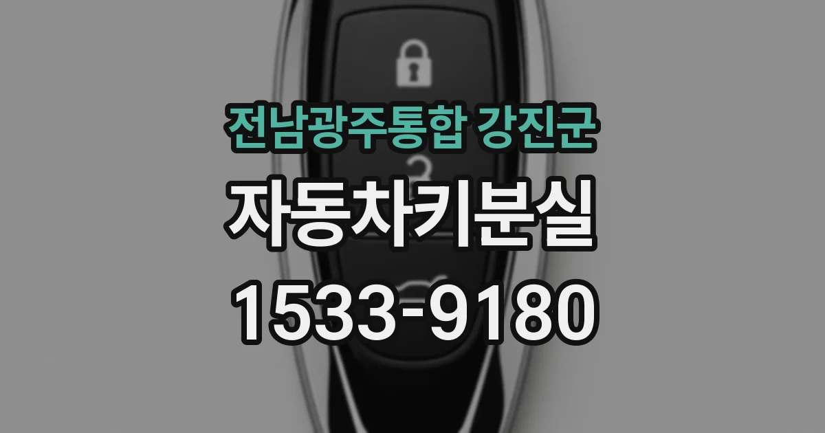 전남광주통합 강진군 자동차키분실