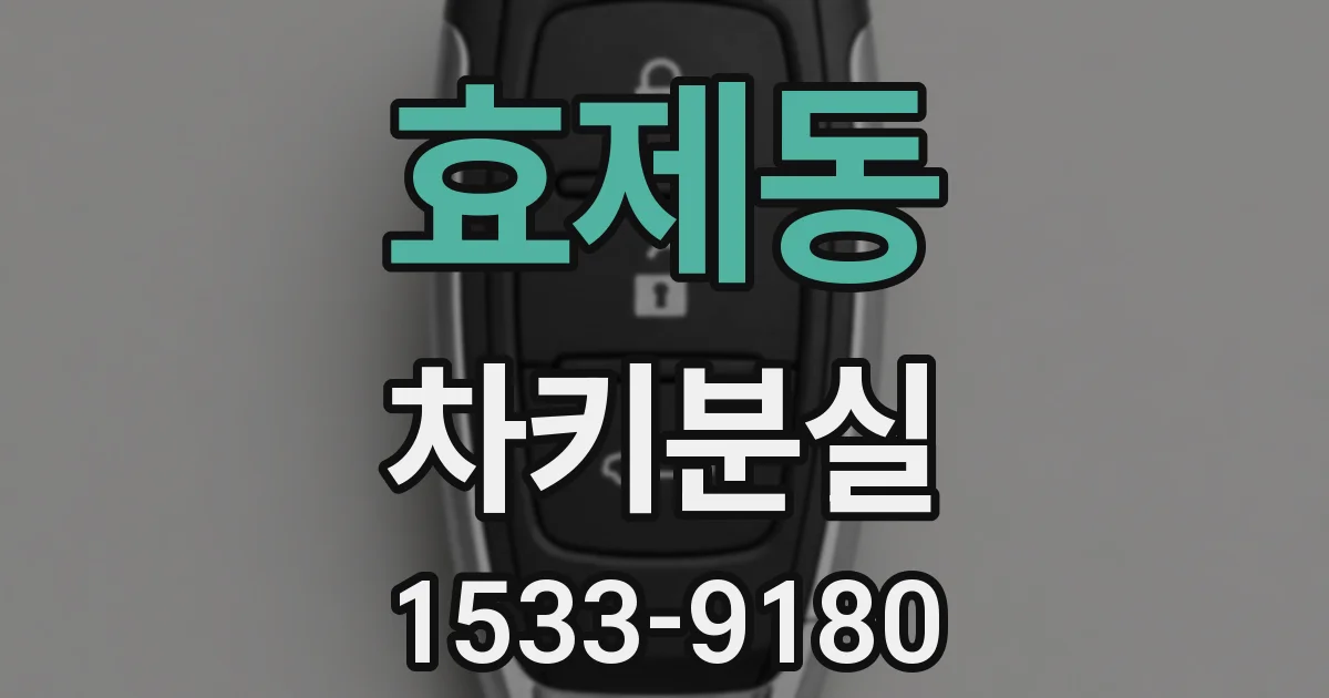 효제동 차키분실