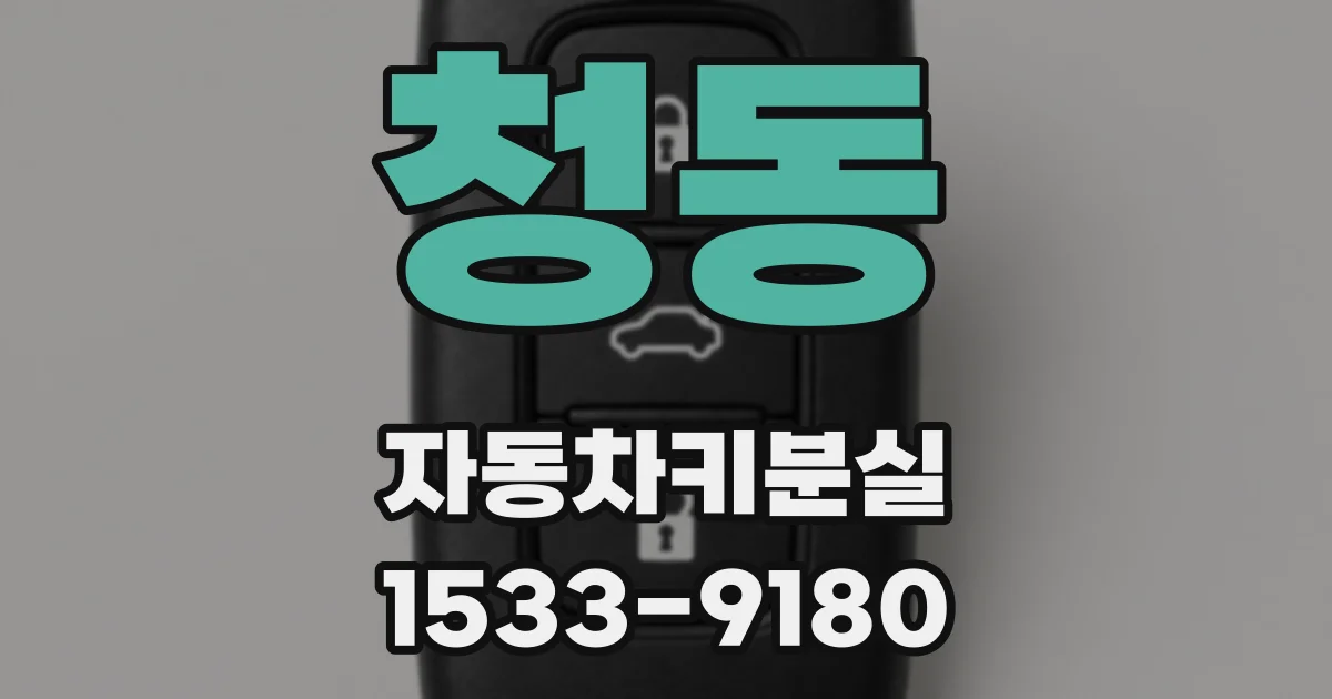 청동 자동차키분실