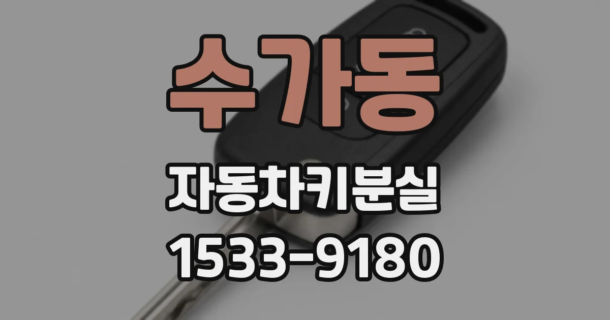 수가동 자동차키분실