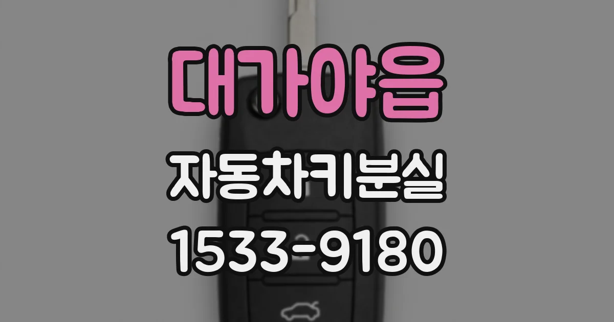 대가야읍 자동차키분실