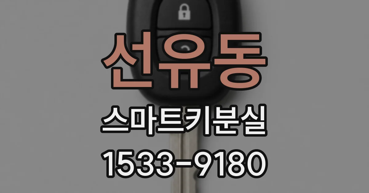 선유동 스마트키분실