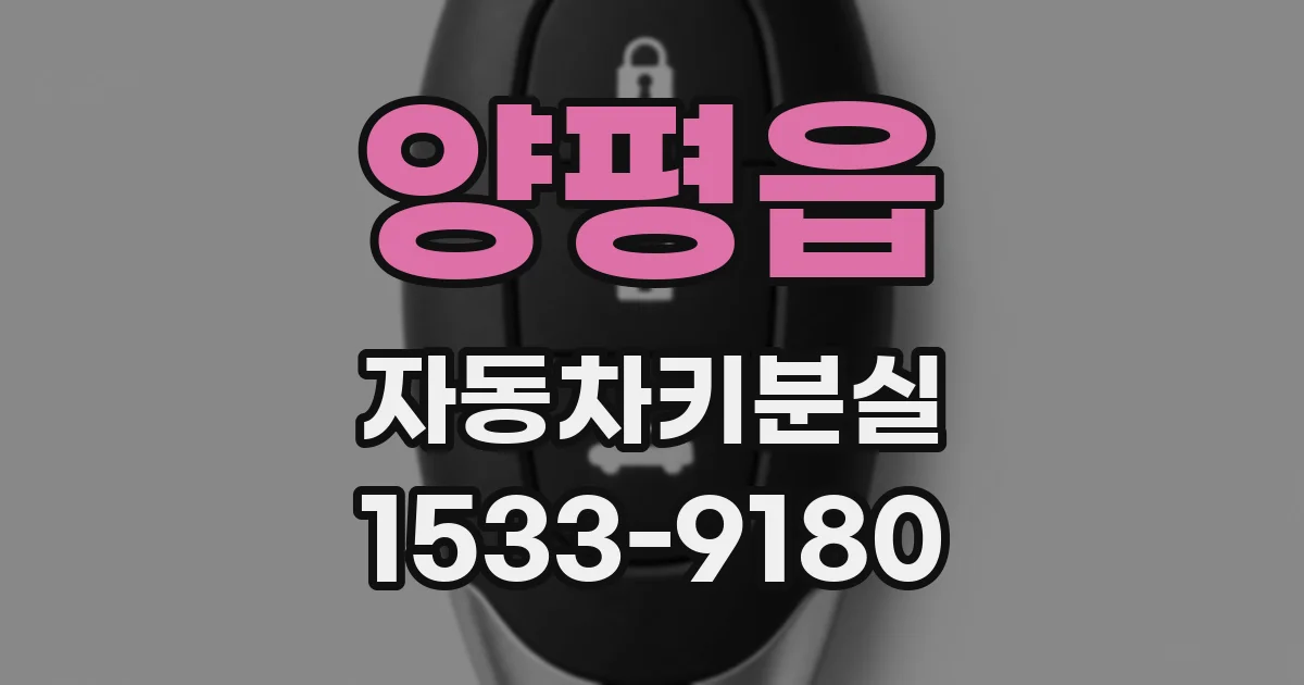 양평읍 자동차키분실