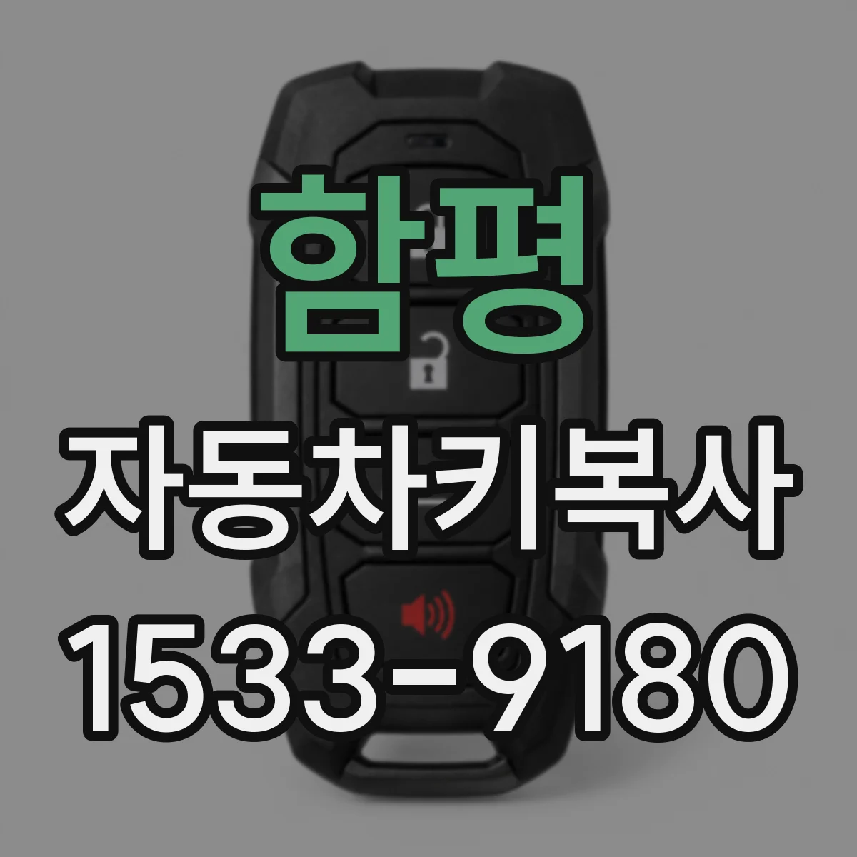함평 자동차키복사