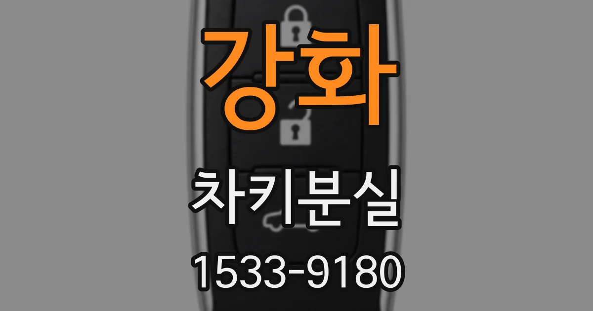 강화 차키분실