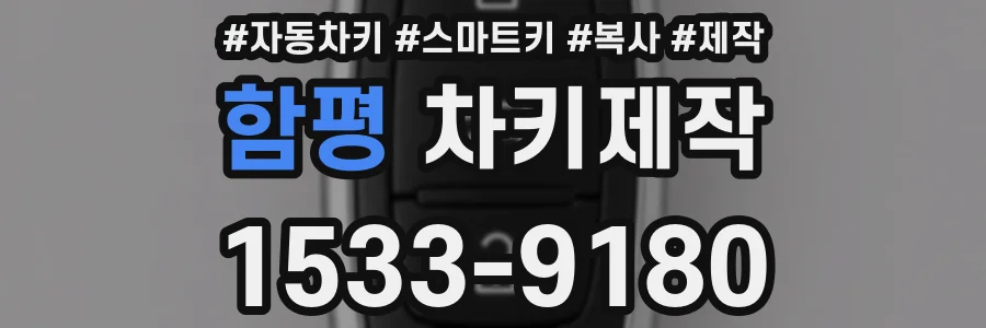 함평 차키제작