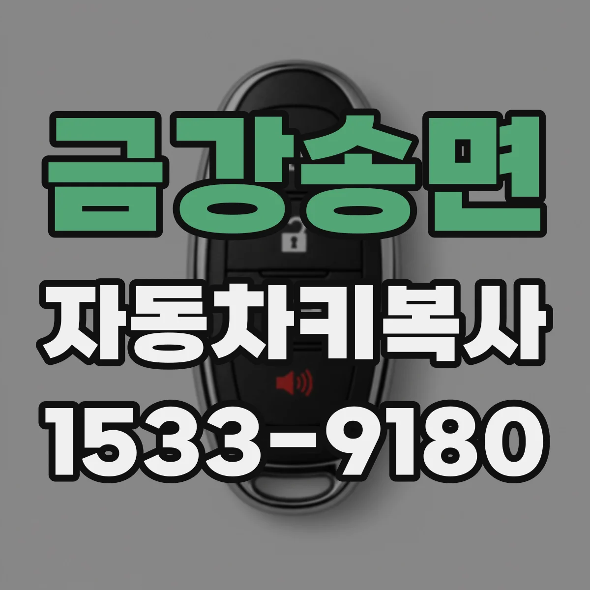 금강송면 자동차키복사