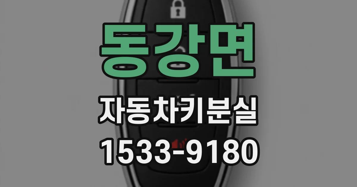 동강면 자동차키분실