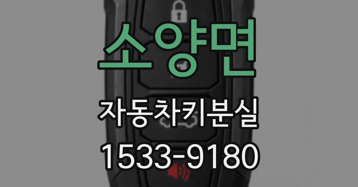 소양면 자동차키분실