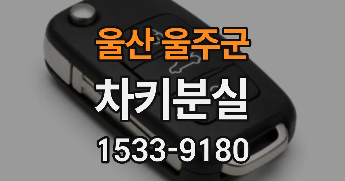 울산 울주군 차키분실