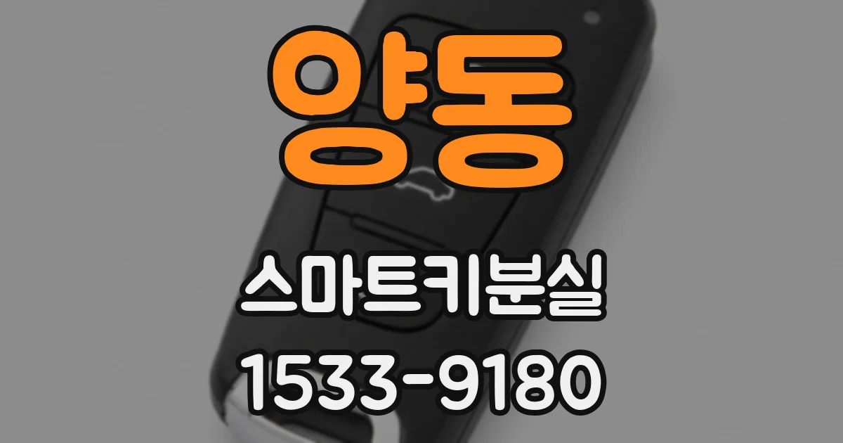 양동 스마트키분실