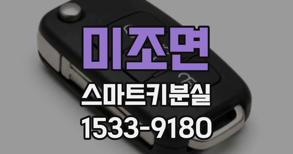 미조면 스마트키분실