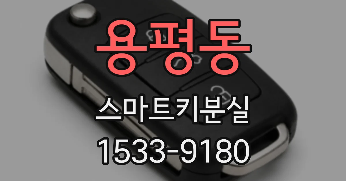용평동 스마트키분실