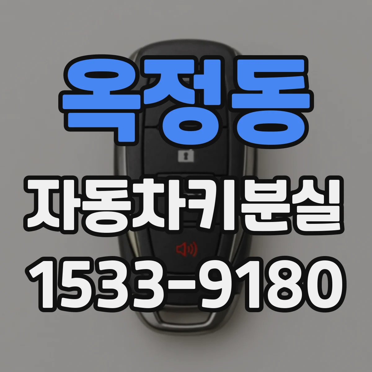 옥정동 자동차키분실