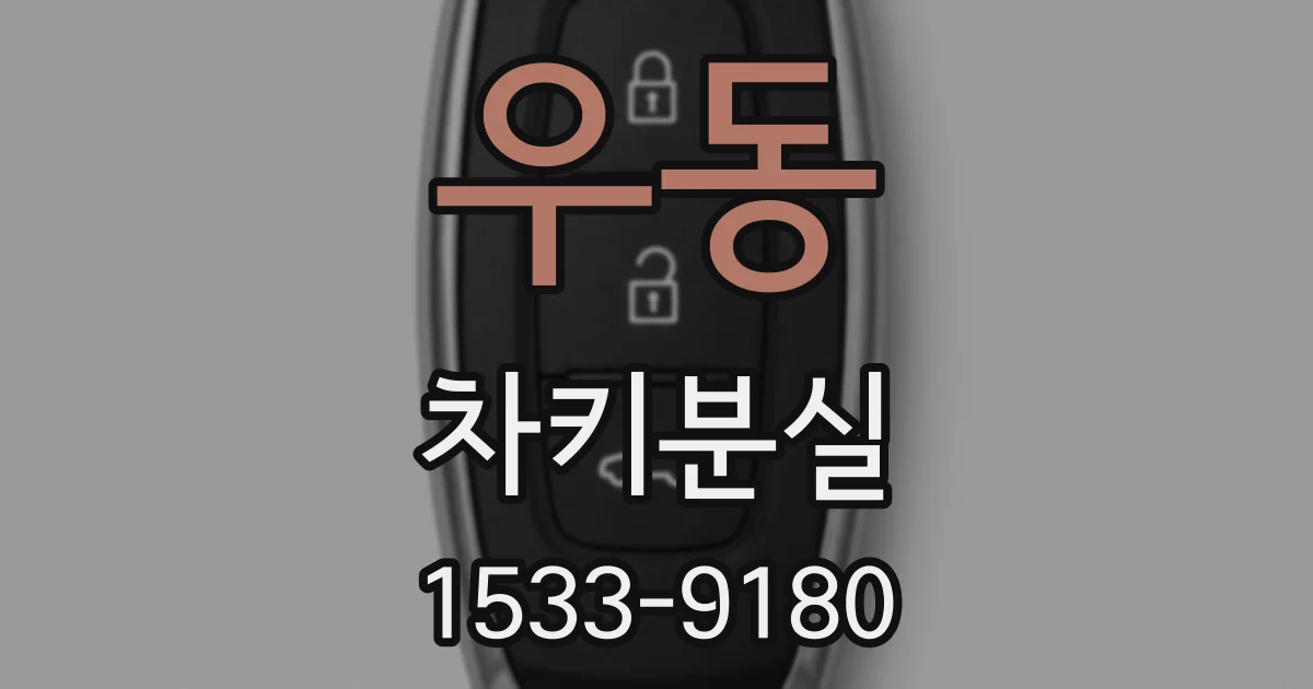 우동 차키분실