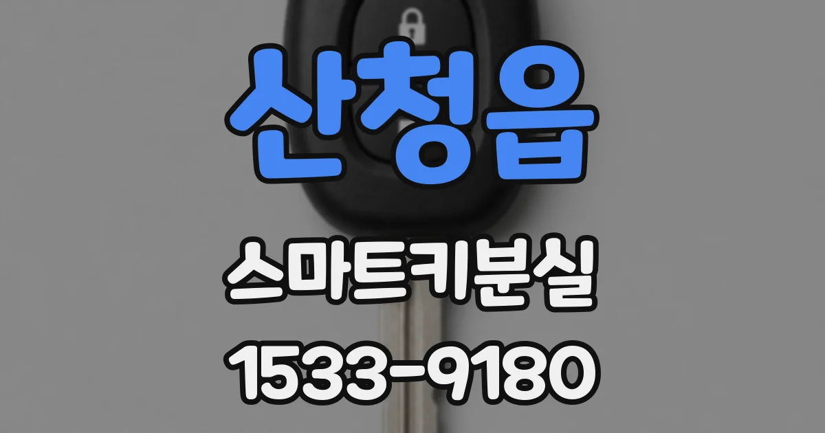 산청읍 스마트키분실