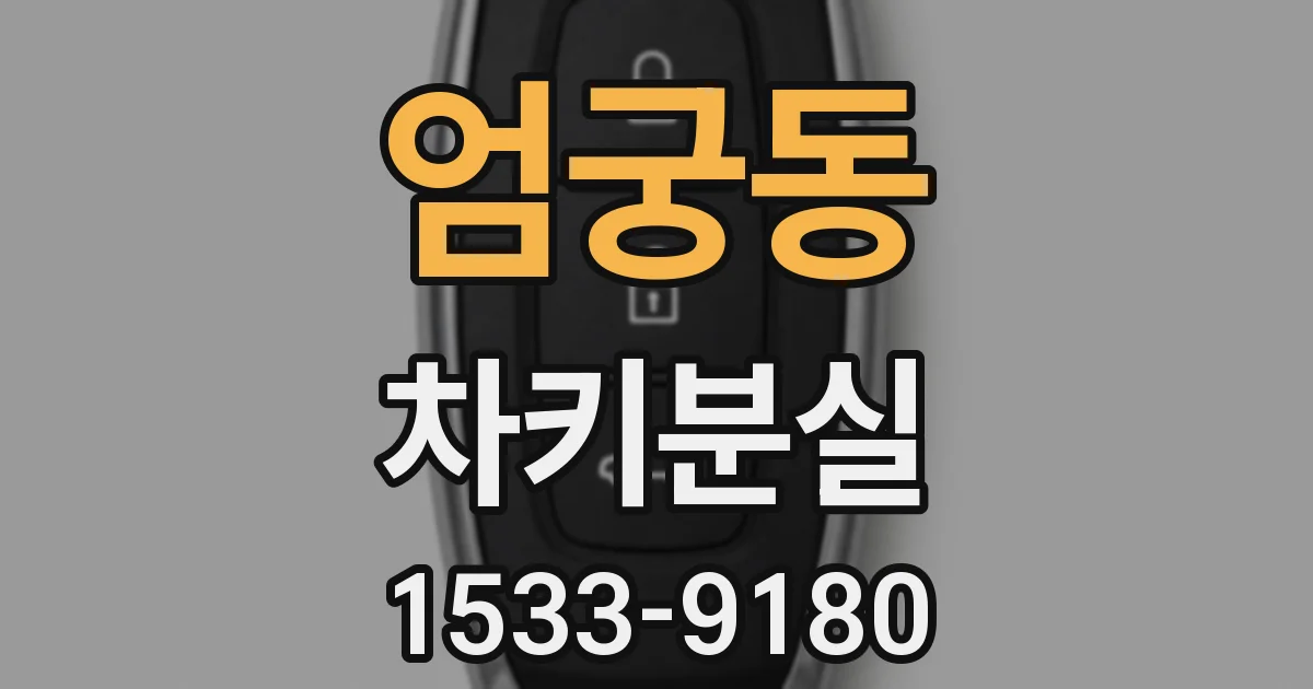 엄궁동 차키분실
