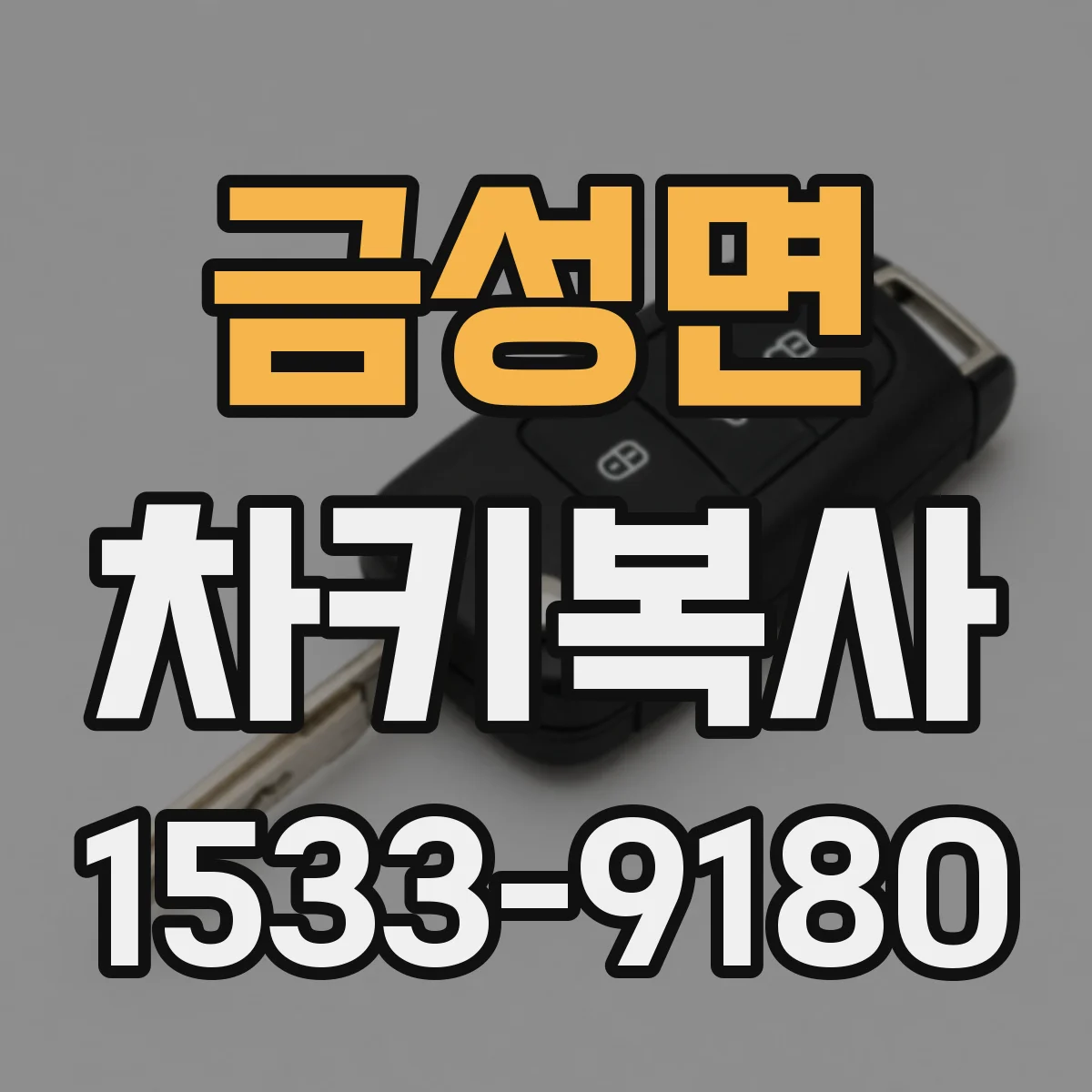 금성면 차키복사
