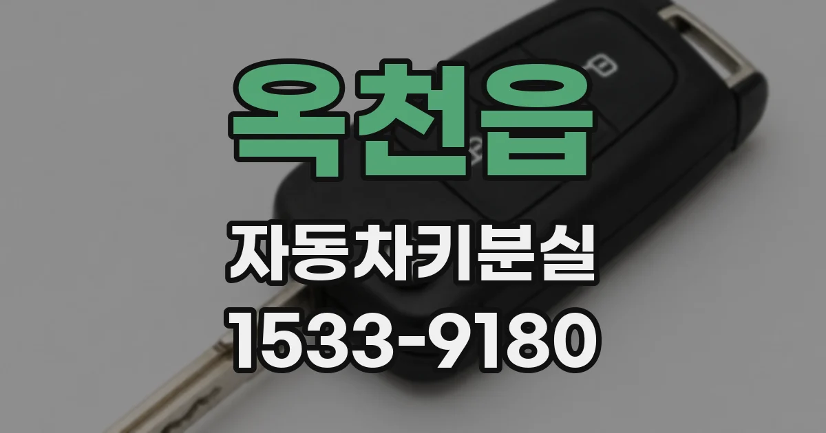 옥천읍 자동차키분실