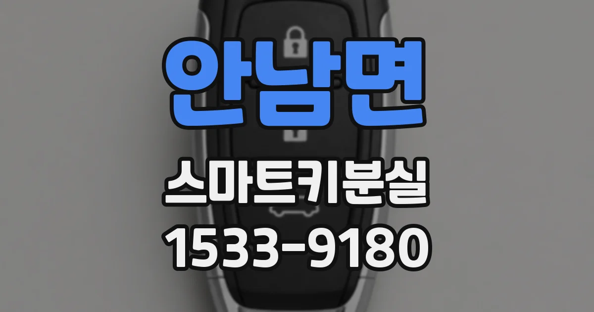 안남면 스마트키분실