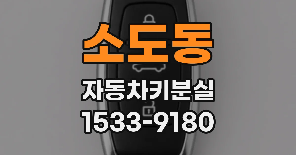 소도동 자동차키분실