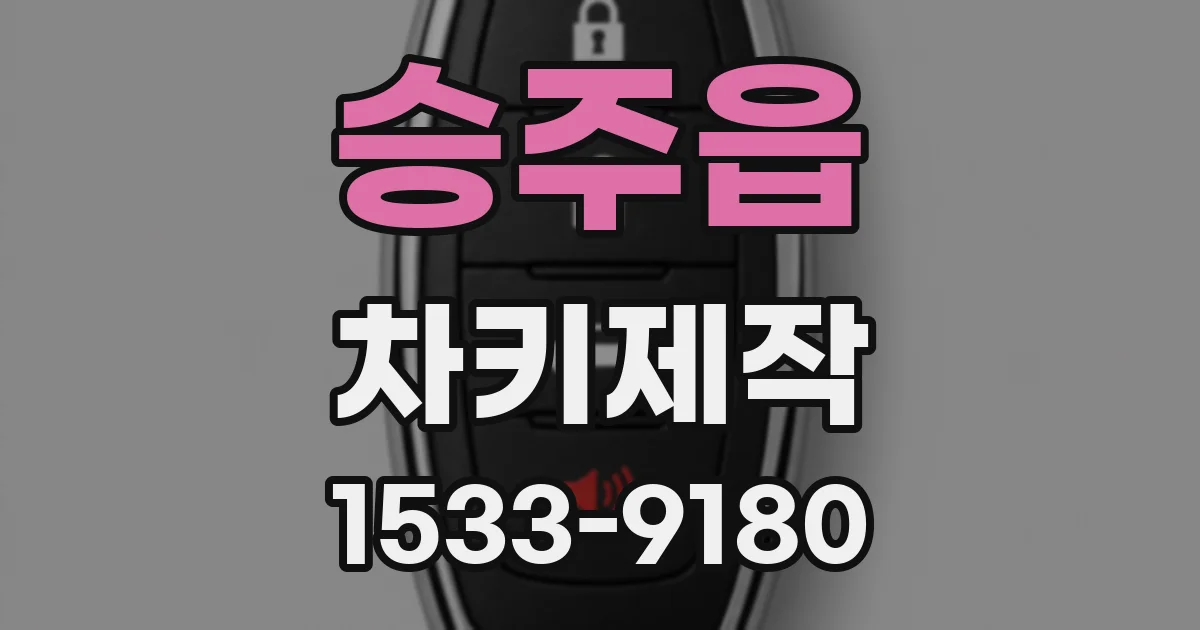 승주읍 차키제작