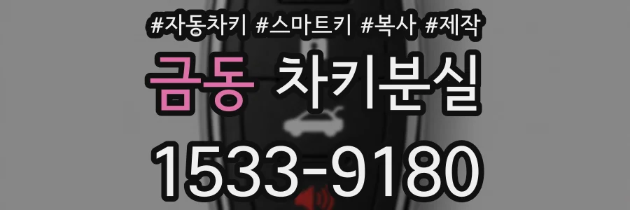 금동 차키분실