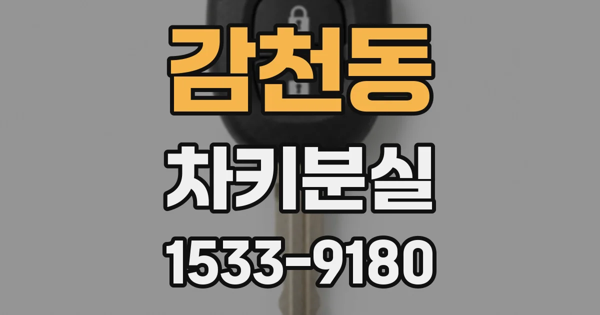 감천동 차키분실