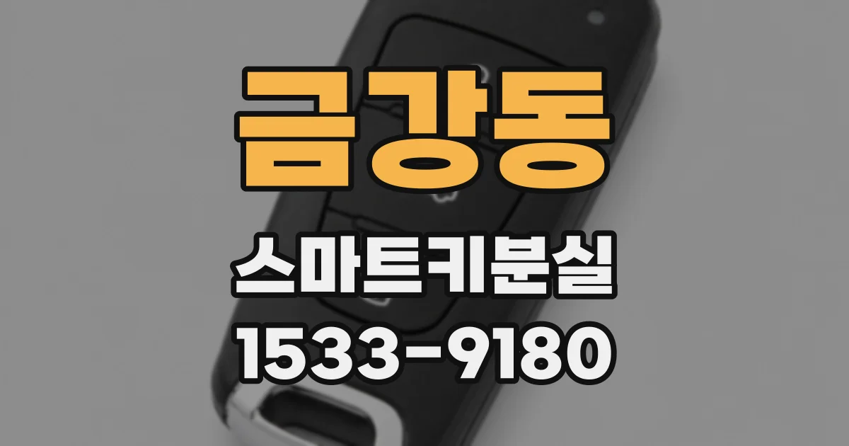 금강동 스마트키분실