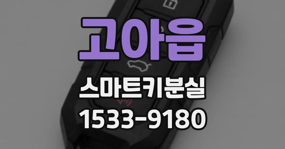 고아읍 스마트키분실