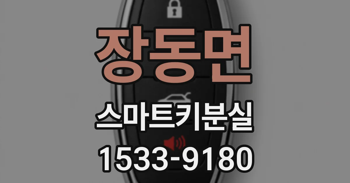 장동면 스마트키분실