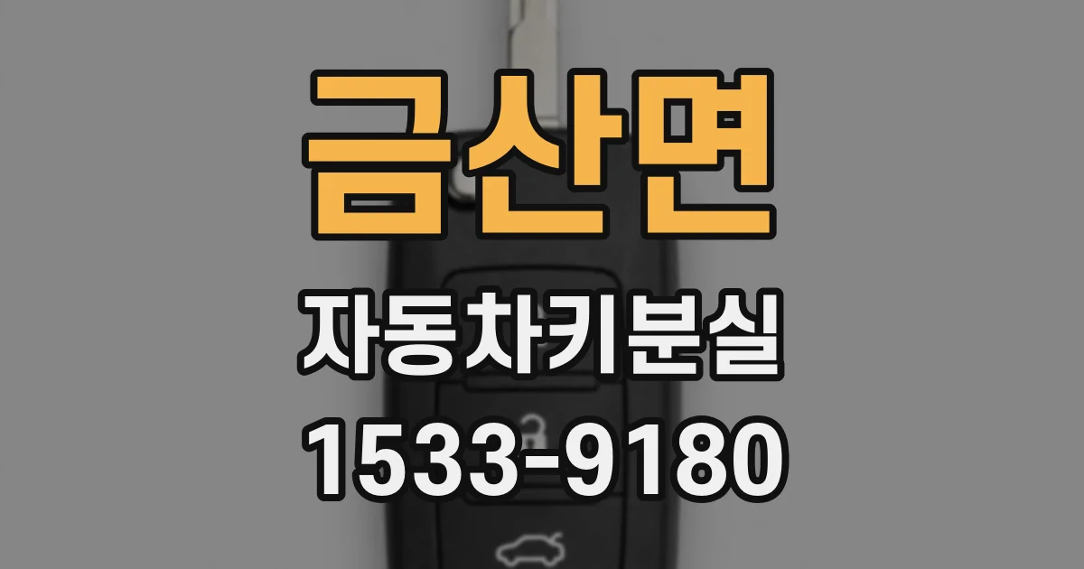 금산면 자동차키분실