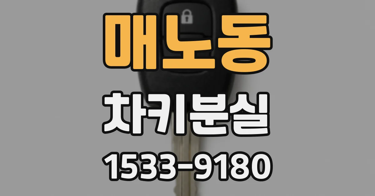 매노동 차키분실