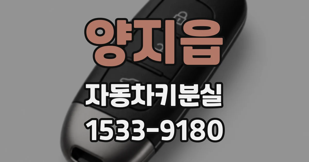 양지읍 자동차키분실