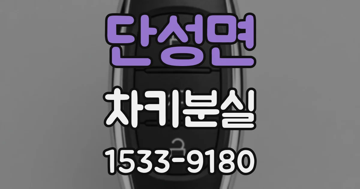 단성면 차키분실